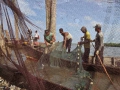 清洗漁網